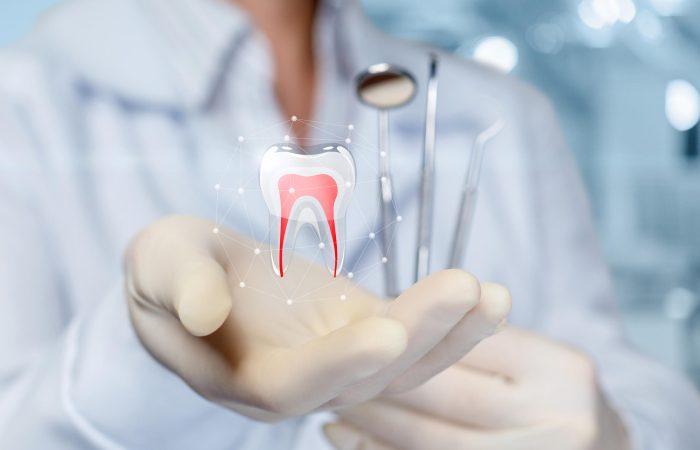 Navigating the Process of Choosing the Right Dentist in Balwyn